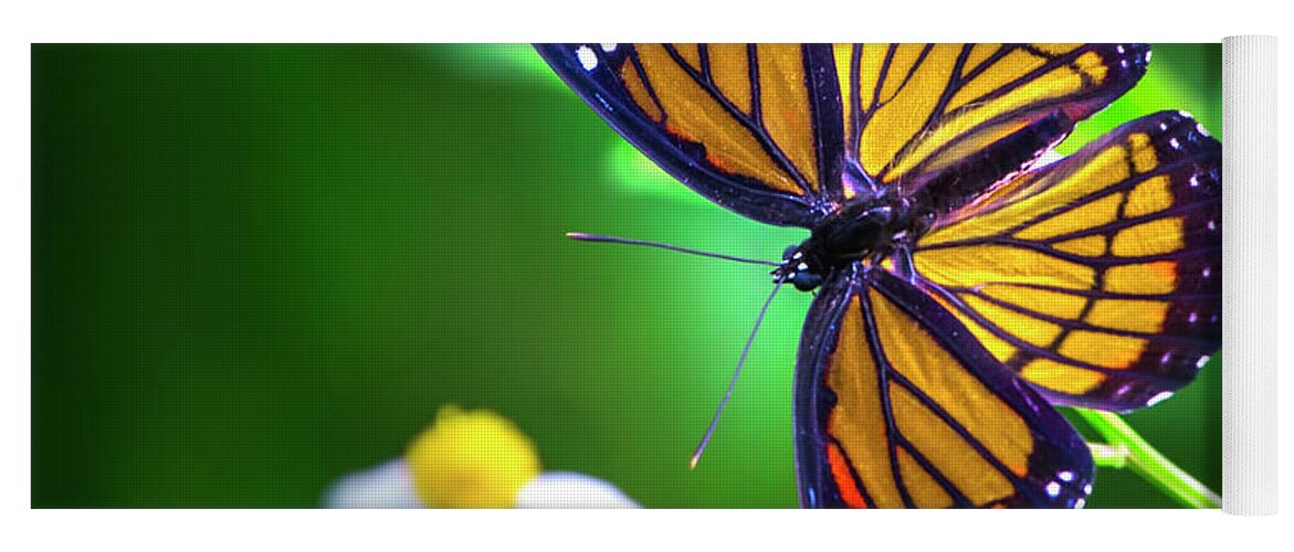 Monarch Butterfly Yoga Mat featuring the photograph Viceroy Butterfly by Mark Andrew Thomas