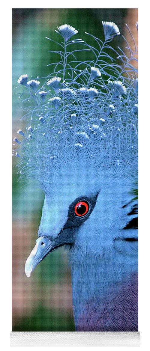 Portrait Yoga Mat featuring the photograph Victoria Crowned Pigeon by Stephen Melia