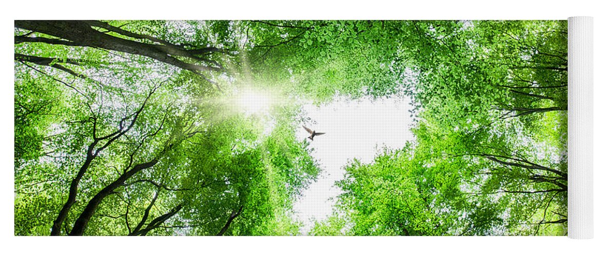 Tree Yoga Mat featuring the photograph View through tree canopy with bird soaring by Simon Bratt