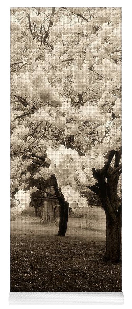 Cherry Blossom Trees Yoga Mat featuring the photograph Waiting For Sunday - Holmdel Park by Angie Tirado