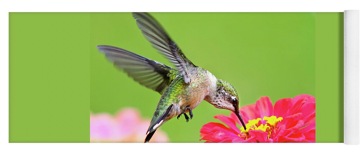 Hummingbird Yoga Mat featuring the photograph Waiting in the Wings Hummingbird Square by Christina Rollo
