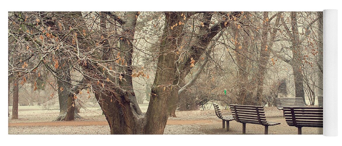 Jenny Rainbow Fine Art Photography Yoga Mat featuring the photograph Walk in the Snowy Old Park by Jenny Rainbow