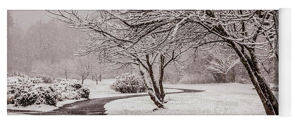 Appalachia Yoga Mat featuring the photograph Walking In a Winter Wonderland by Debra and Dave Vanderlaan