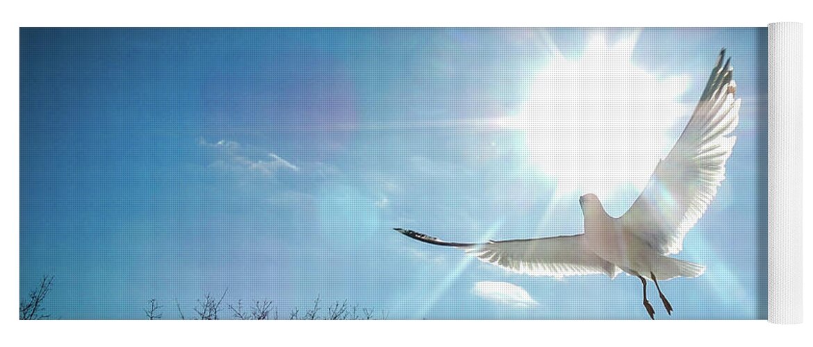 Landscapes Yoga Mat featuring the photograph Warmed Wings by Glenn Feron