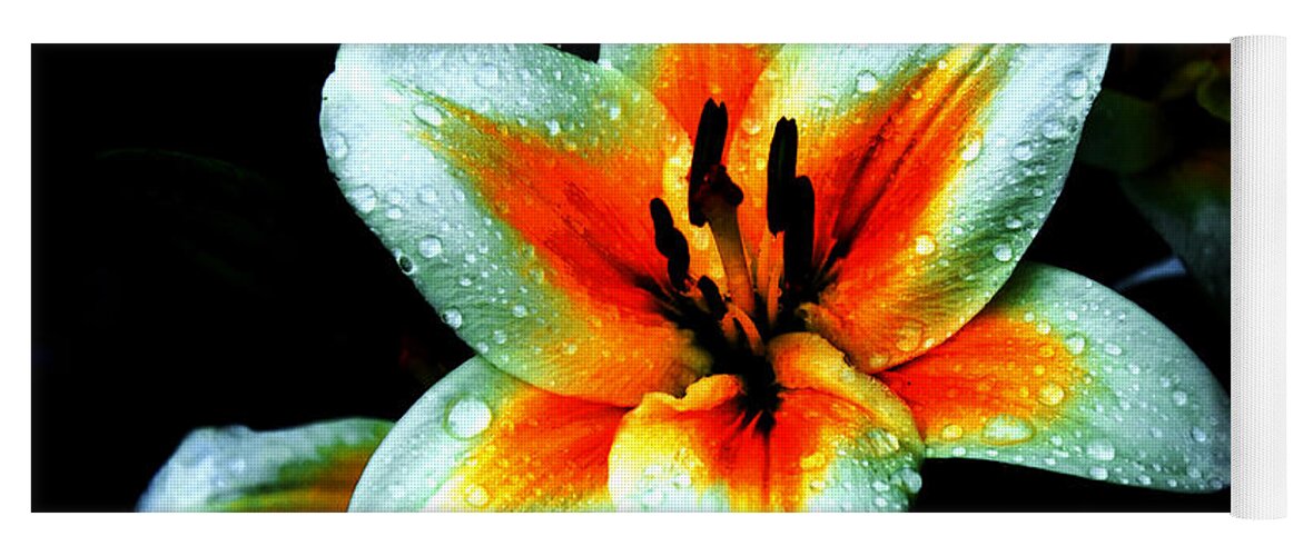 Lily Yoga Mat featuring the photograph Water Droplet Covered White Lily by Andee Design