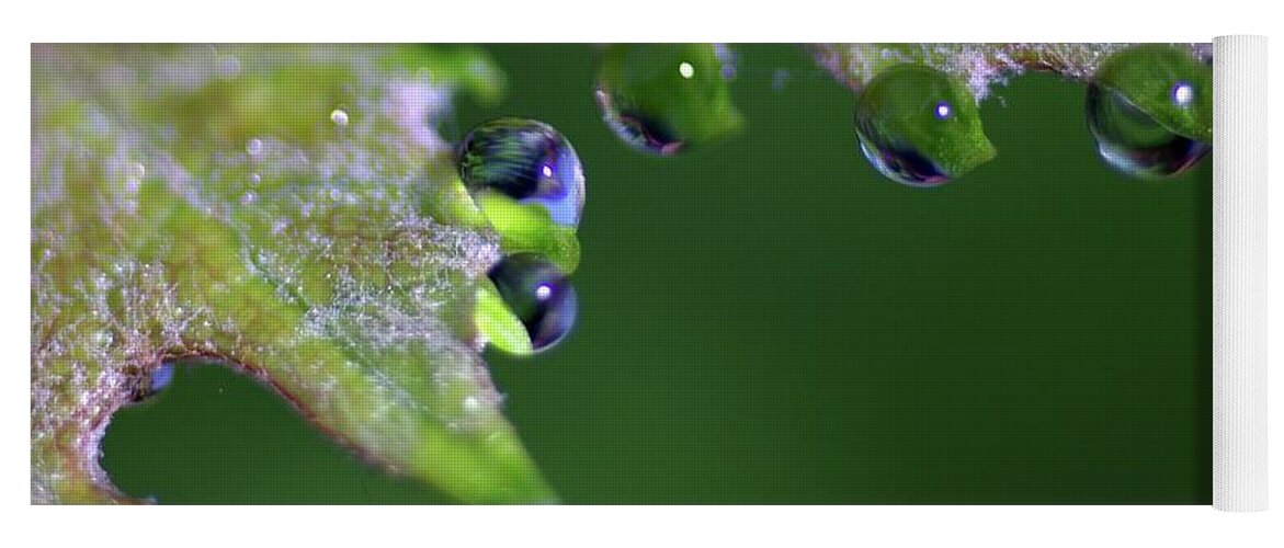 Macro Photography Yoga Mat featuring the photograph Water Droplet III by Richard Rizzo