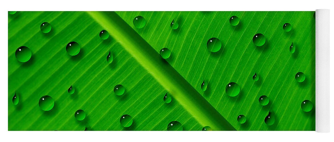 Water Drops On Palm Leaf Yoga Mat featuring the painting Water Drops on Palm Leaf by Georgeta Blanaru