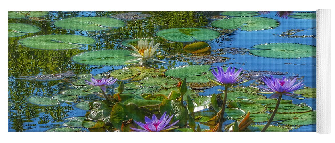 Alligators Yoga Mat featuring the photograph Water Lilies I by Kathi Isserman