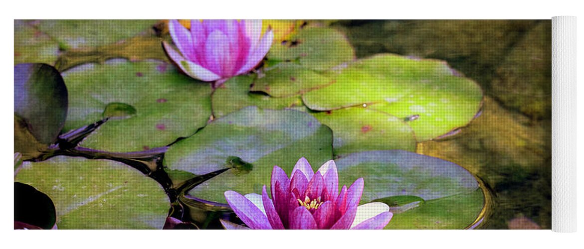 Flower Yoga Mat featuring the photograph Water Lilies by Maria Angelica Maira