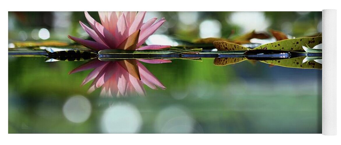 Soft Pink Water Lily Yoga Mat featuring the photograph Water Lily And Bokeh by Carol Montoya