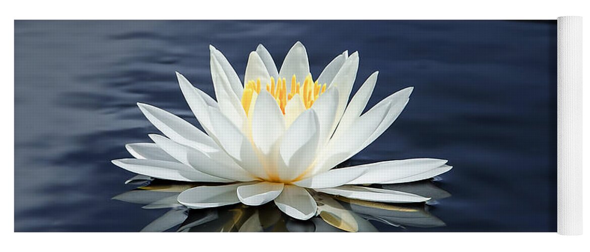 Water Lily Yoga Mat featuring the photograph Water Lily by John Kirkland