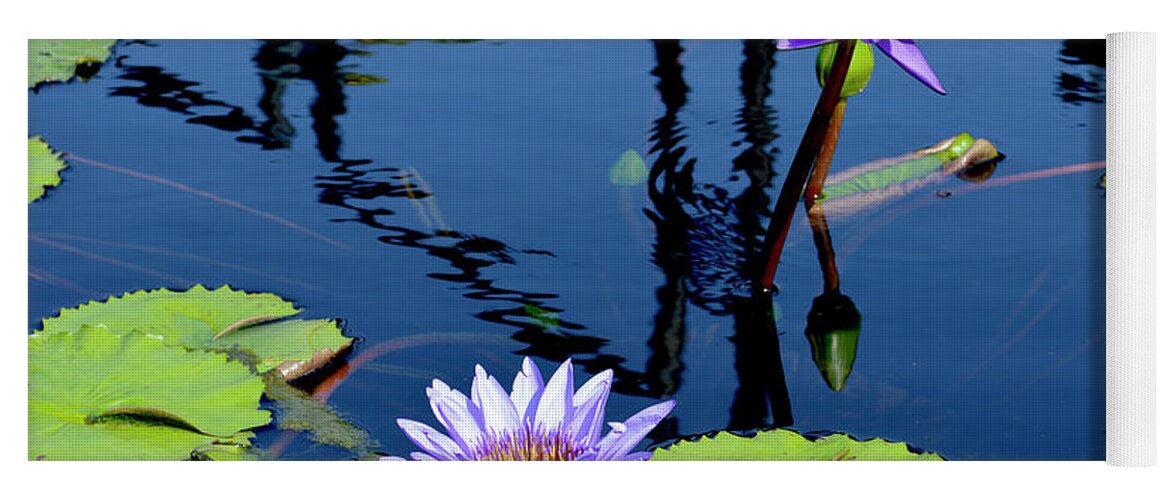 Water Lily Yoga Mat featuring the photograph Water Lily by Lisa Blake
