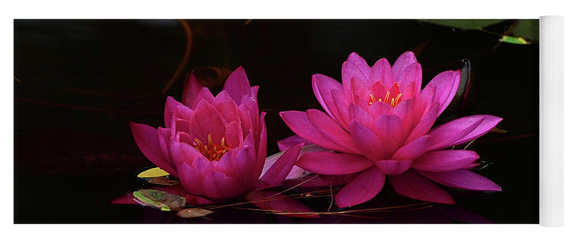 Water Yoga Mat featuring the photograph Water Lily by Nancy Landry