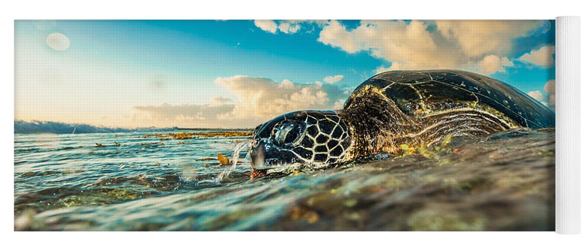 Sea Turtle Yoga Mat featuring the photograph Water Player Turtle by Leonardo Dale