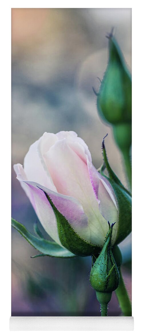 Flower Yoga Mat featuring the photograph Watercolor Rose by Laura Roberts