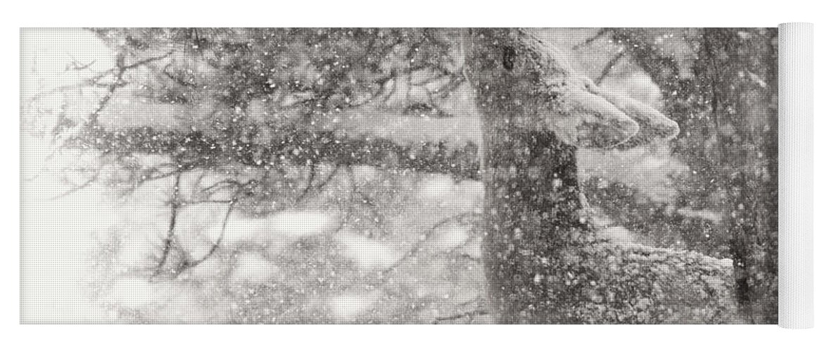 Deer Yoga Mat featuring the photograph Weathering Winter by Jim Garrison