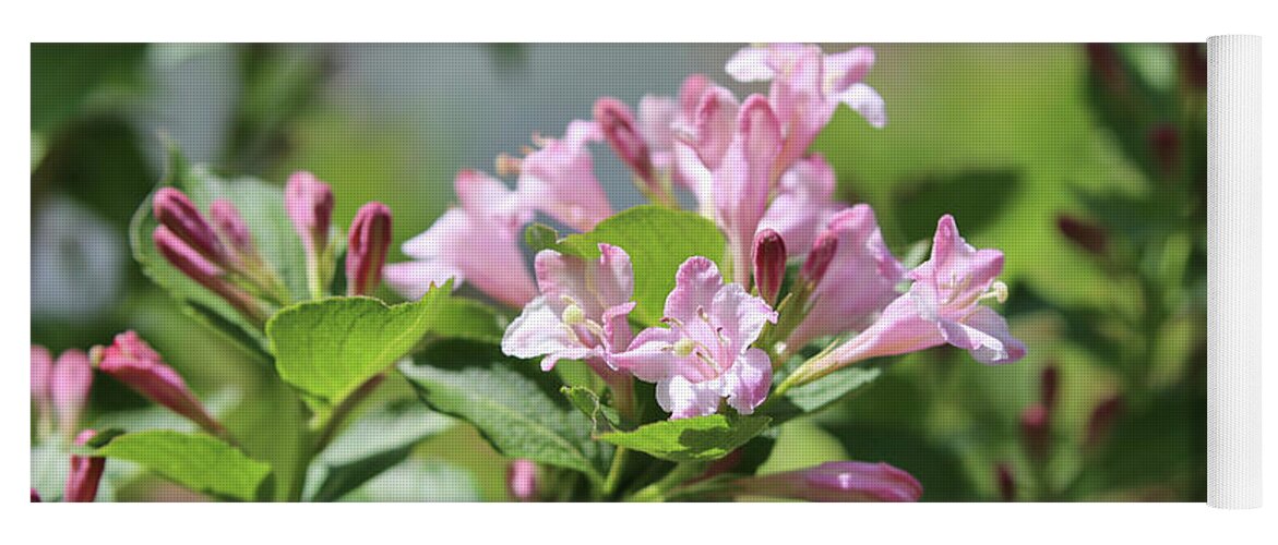 Weigela Yoga Mat featuring the photograph Weigela Pink Princess by Theresa Campbell