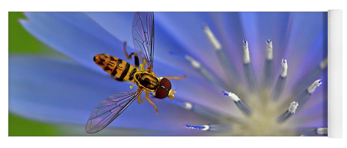 Hoverflies Yoga Mat featuring the photograph Welcome by Tony Beck