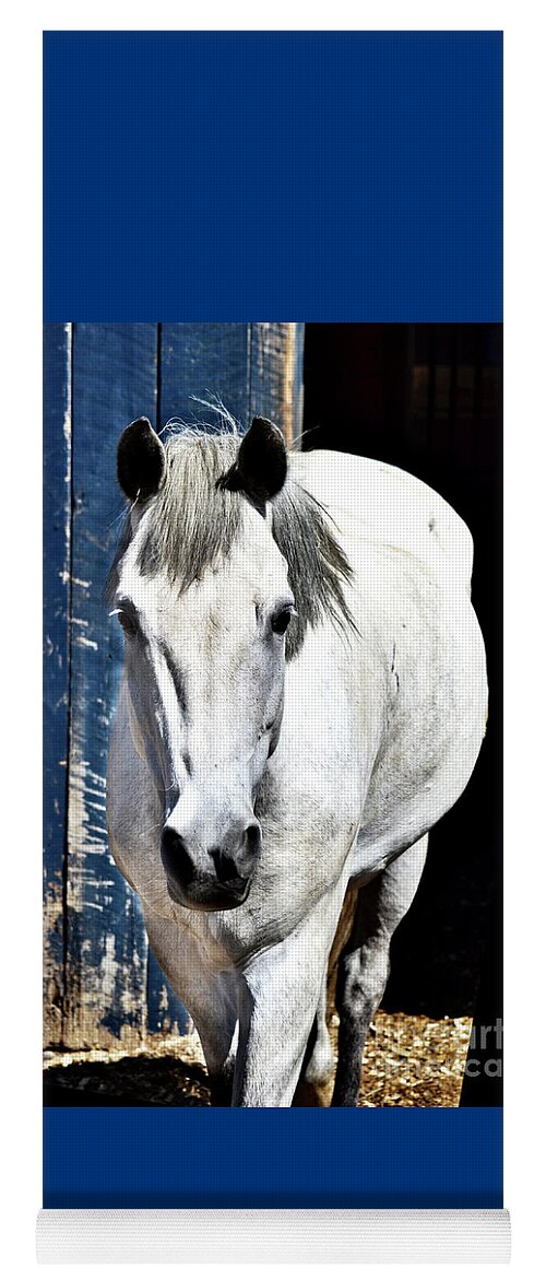 White Horse Yoga Mat featuring the photograph Well, Hello There by Cindy Schneider