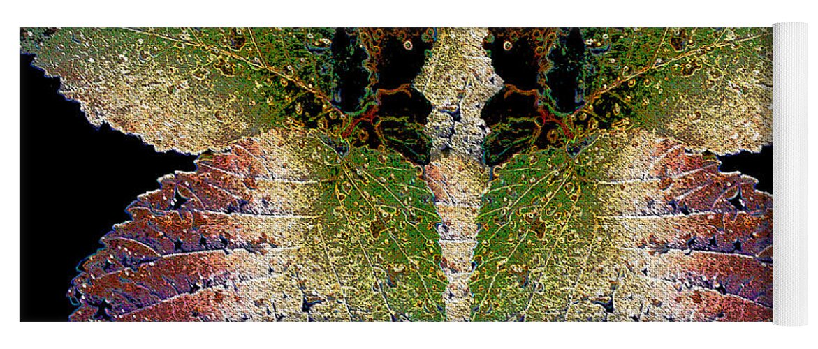 Butterfly Yoga Mat featuring the photograph Wet Leaf Metamorphosis by Nina Silver