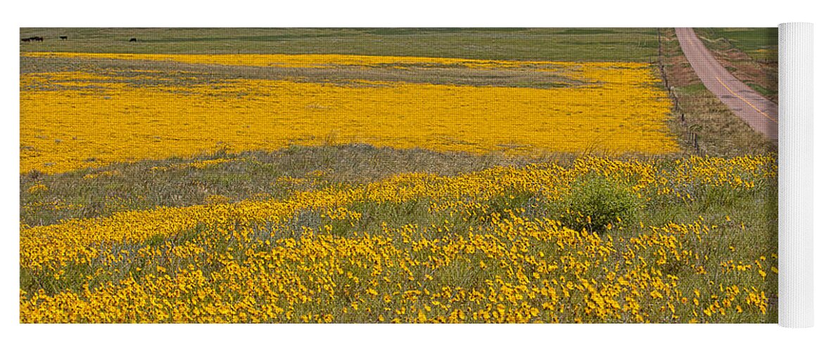Yellow Wildflowers Yoga Mat featuring the photograph What Lies Ahead by Jim Garrison
