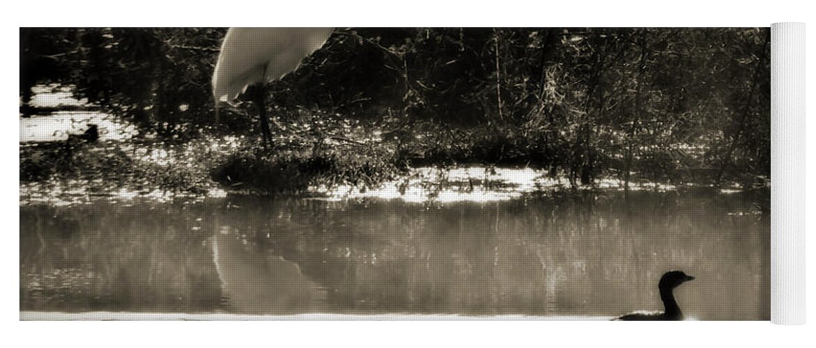 American Egret Yoga Mat featuring the photograph When The Morning Fog Lifted by Steven Sparks