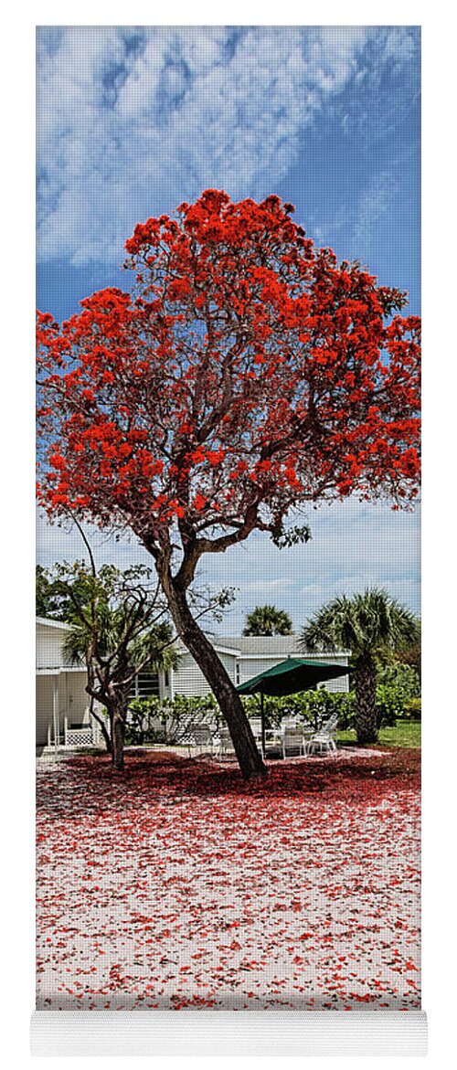 Red Tree Yoga Mat featuring the photograph Where the Red Tree Grows by Scott Pellegrin