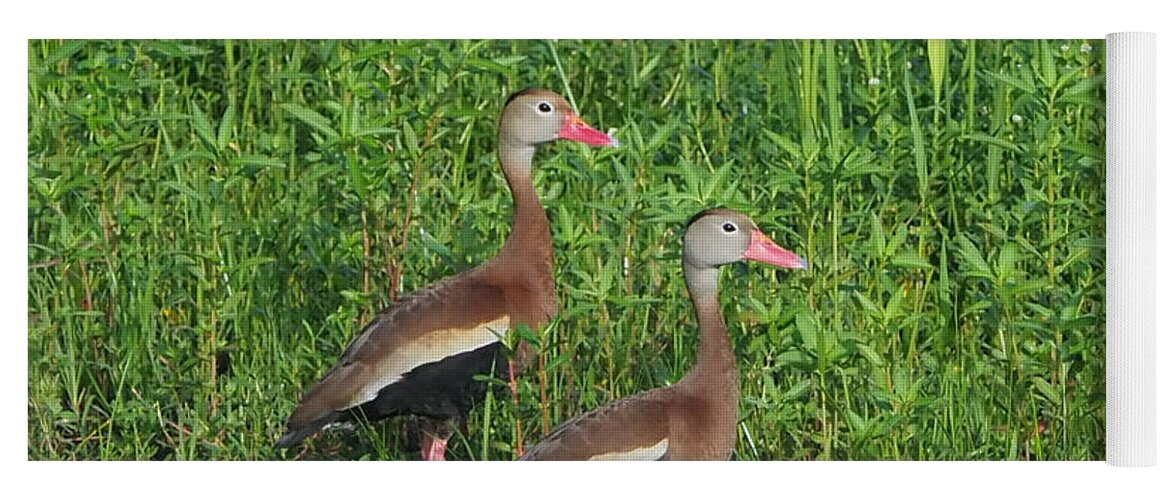 Black-bellied Yoga Mat featuring the photograph Whistling Ducks by Farol Tomson