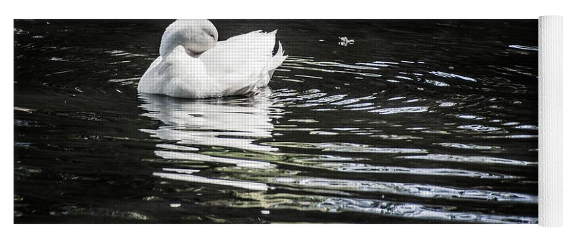 Duck Yoga Mat featuring the photograph White Duck by Steph Gabler