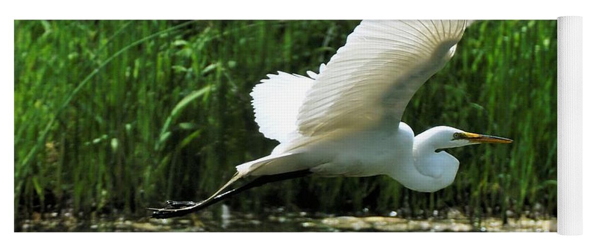 Bird Yoga Mat featuring the photograph White Egret in Flight by Elaine Manley