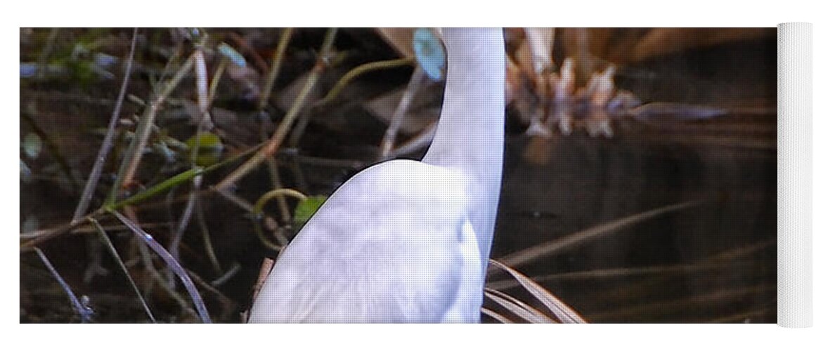 White Egret Yoga Mat featuring the photograph White Egret in Florida pond by Peg Runyan