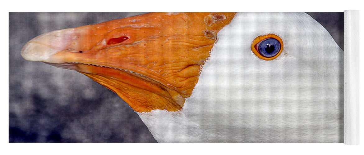 Wildlife Yoga Mat featuring the photograph White Goose Portrait by Bob Slitzan