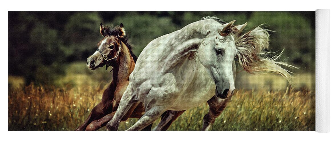Horse Yoga Mat featuring the photograph White horse and foal Running wild by Dimitar Hristov