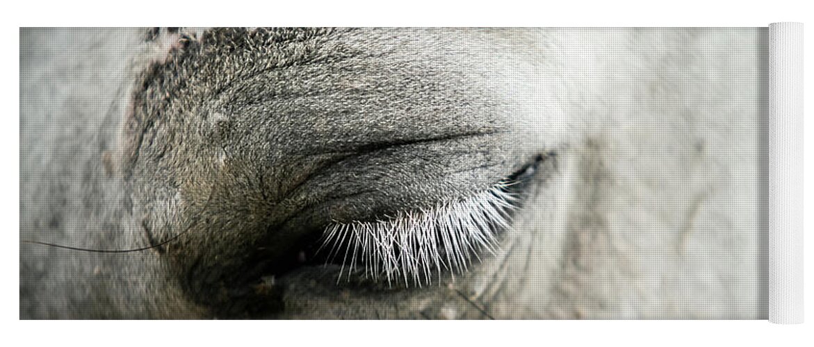 Horse Yoga Mat featuring the photograph White horse eye with white cilia by Dimitar Hristov