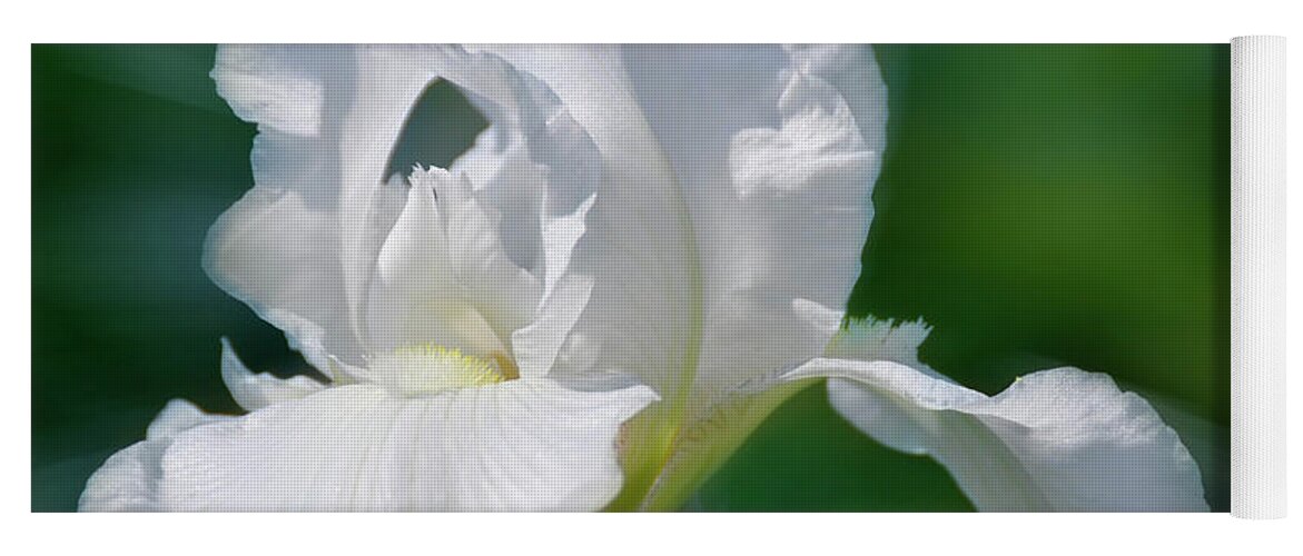 Iris Yoga Mat featuring the photograph White Iris by Elaine Manley