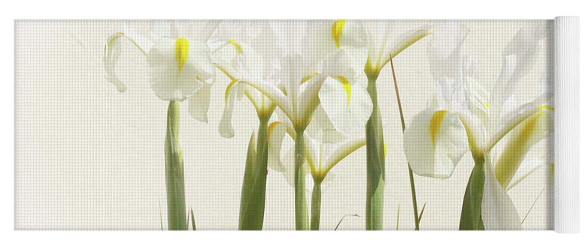 Flower Yoga Mat featuring the photograph White Iris by Terri Waters