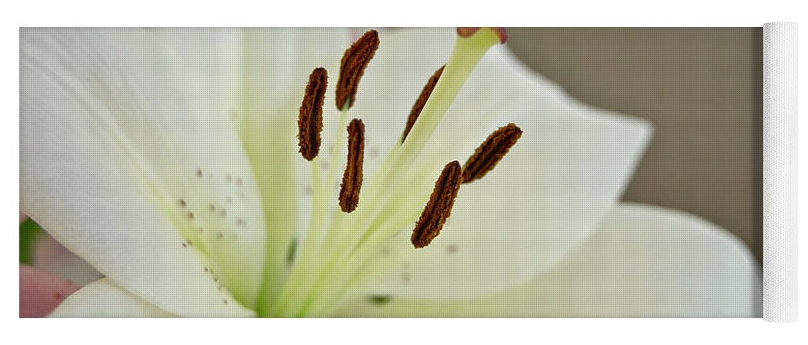 Trinity Yoga Mat featuring the photograph White Lily 4 by Elena Perelman