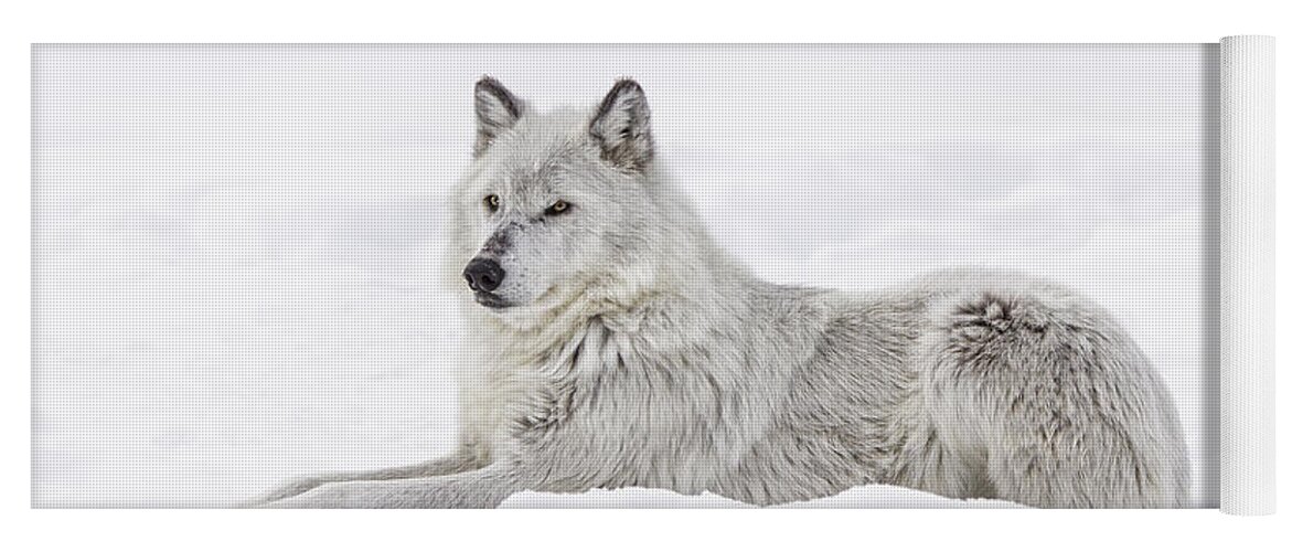 Wolf Yoga Mat featuring the photograph White on White by Peg Runyan