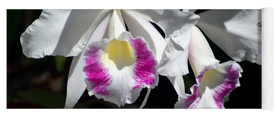 Photography Yoga Mat featuring the photograph White Orchids by Susanne Van Hulst