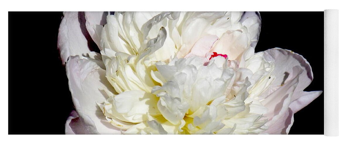 Photograph Yoga Mat featuring the photograph White Peony II by Delynn Addams