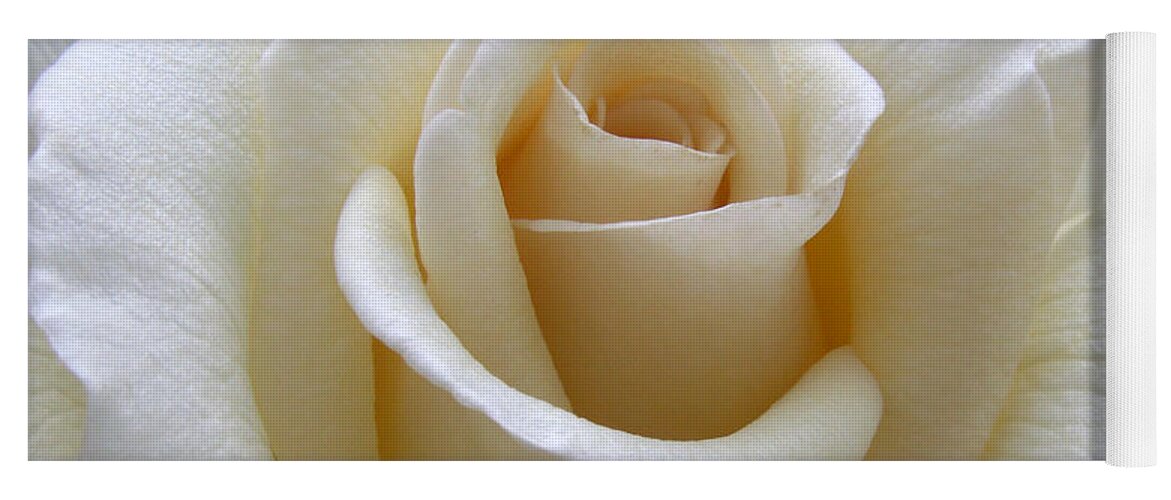 Roses Yoga Mat featuring the photograph White Rose by Amy Fose