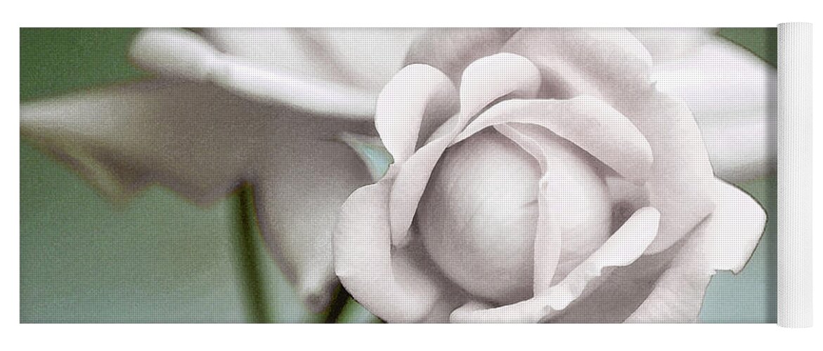 White Yoga Mat featuring the photograph White Roses by Dianne Morgado