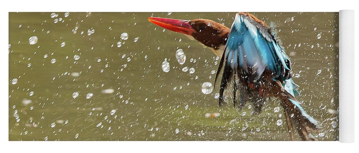 2017 Yoga Mat featuring the photograph White-throated Kingfisher by Jean-Luc Baron