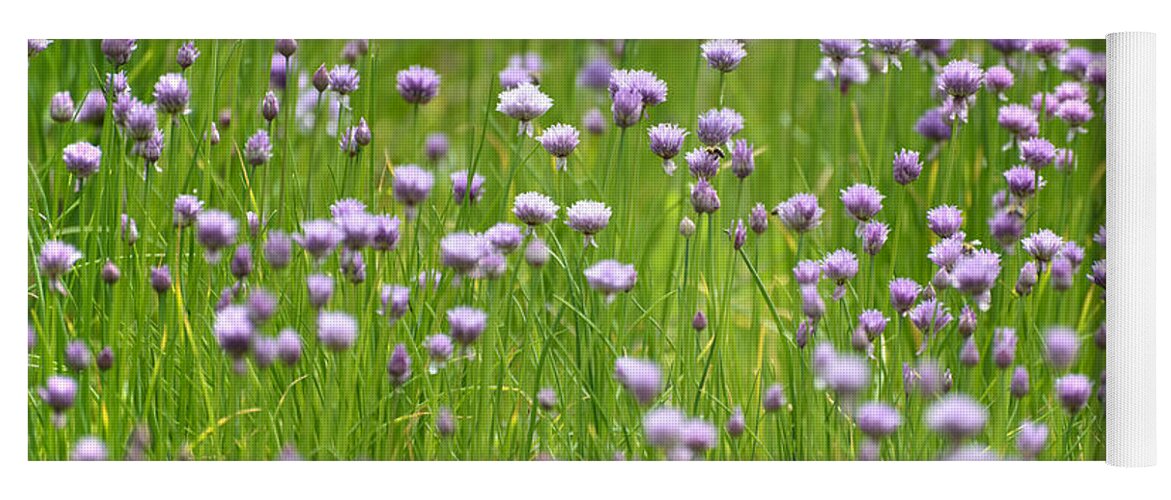 Chives Yoga Mat featuring the photograph Wild Chives by Chevy Fleet