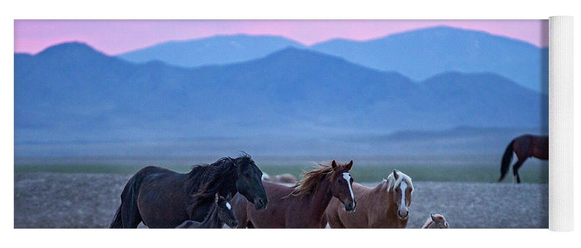 Wild Horse Yoga Mat featuring the photograph Wild Horse Sunrise by Wesley Aston