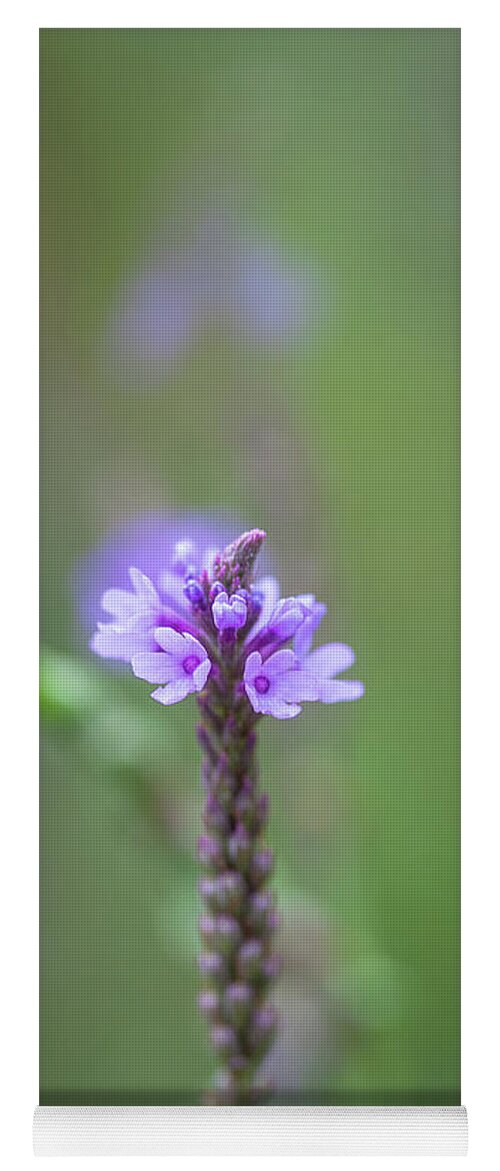 Illinois Yoga Mat featuring the photograph Wild Purple Flower Macro by Joni Eskridge