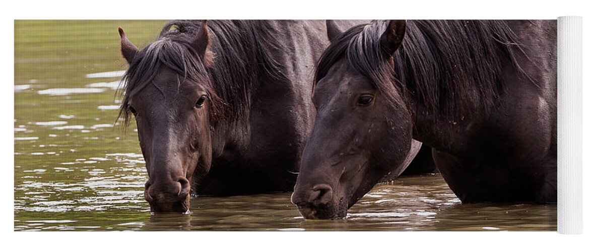 Mark Miller Photos Yoga Mat featuring the photograph Wild Stallions at the Water Hole by Mark Miller