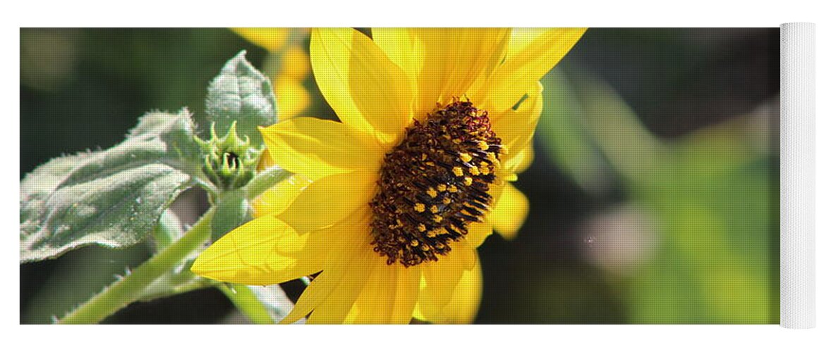 Honey Yoga Mat featuring the photograph Wild Sunflower in Tones of Honey by Colleen Cornelius