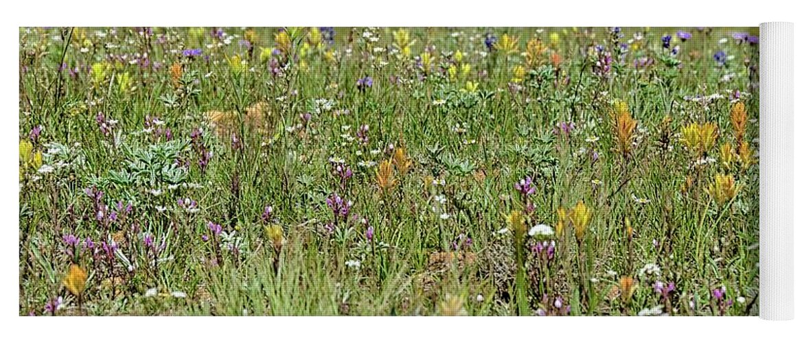 Meadow Yoga Mat featuring the photograph Wildflower fence by Gaelyn Olmsted