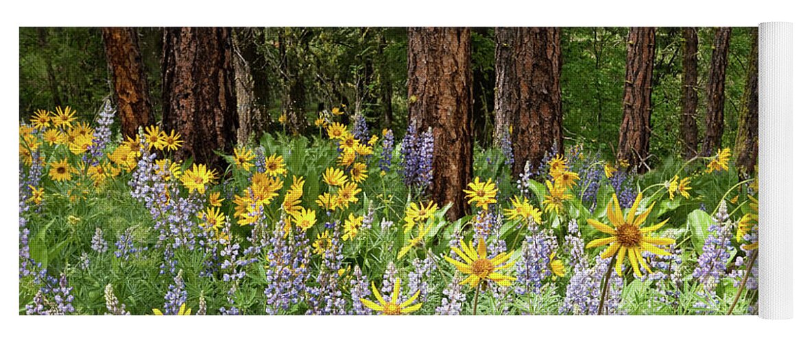 Arrowleaf Balsamroot Yoga Mat featuring the photograph Balsamroot and Lupine in a Ponderosa Pine Forest by Jeff Goulden